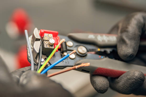 Best Electric Panel Repair  in Kendale Lakes, FL